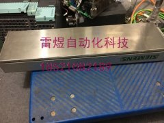 上海雷煜自动YE4电机化科技有限公司
