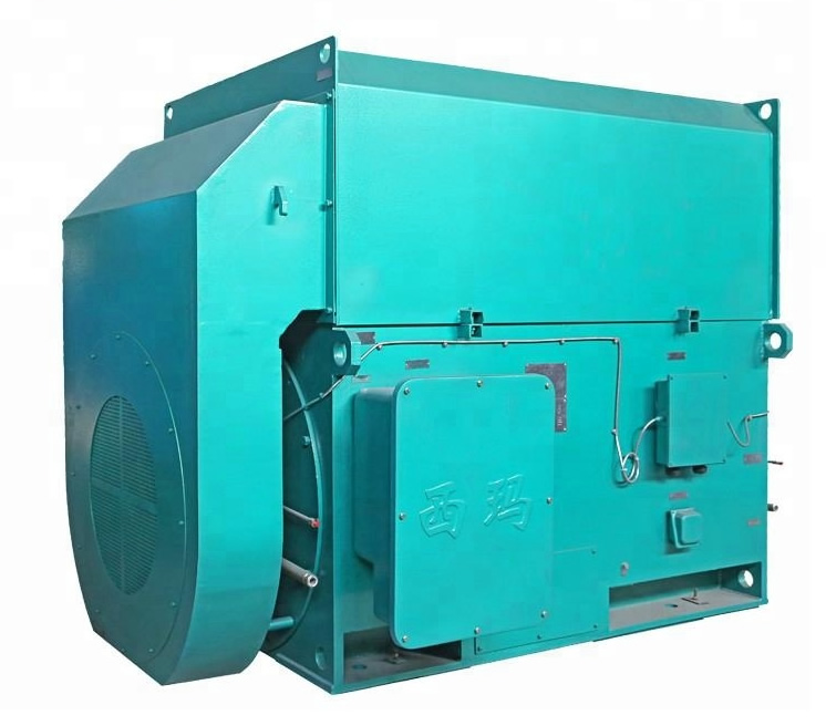 西安泰富西玛：高品质的高压电机供应商